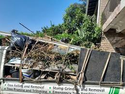 Best Electronics and E-Waste Disposal  in Falcon Heights, MN